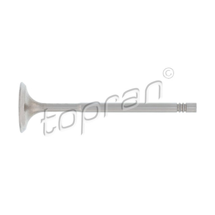 Soupape d'Admission Pour VW Audi Seat Skoda 036109601AD 03C109601J 03C109601M