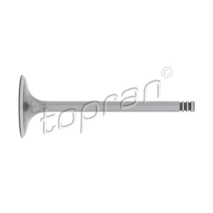 Soupape d'Admission Pour VW Bora Golf III IV Passat Sharan Transporter Vento