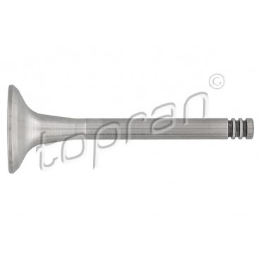 Soupape d'échappement Pour VW Audi 80 90 Seat 026109611A 034109611B 035109611J