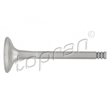 Soupape d'échappement Pour VW Audi Seat Skoda 048109611B 048109611C 078109611C