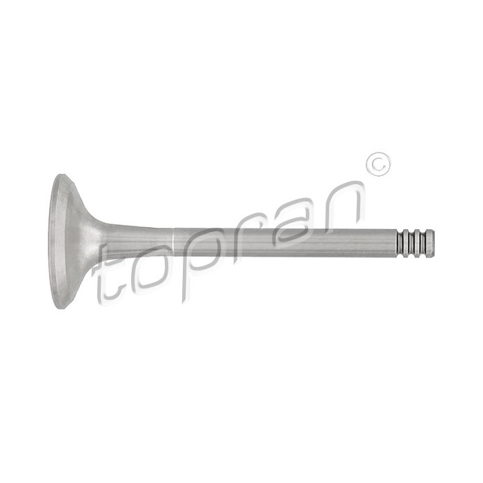 Soupape d'échappement Pour VW Audi Seat Skoda 048109611B 048109611C 078109611C