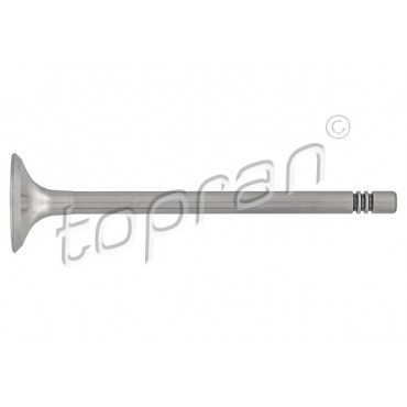 Soupape d'échappement Pour VW Audi Seat Skoda 036109611AE 036109611K 03C109611G