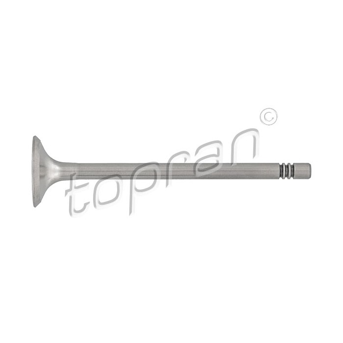 Soupape d'échappement Pour VW Audi Seat Skoda 036109611AE 036109611K 03C109611G