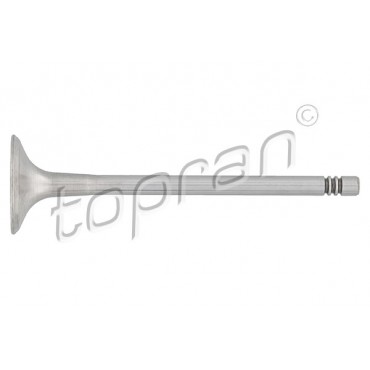 Soupape d'échappement Pour VW Audi A3 A4 A6 TT Seat Skoda Octavia I 058109611E