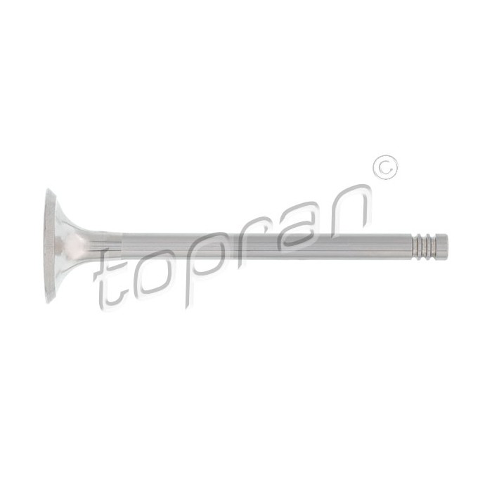 Soupape d'échappement Pour VW Golf Plus V Audi A3 A6 Seat Skoda 03G109611D