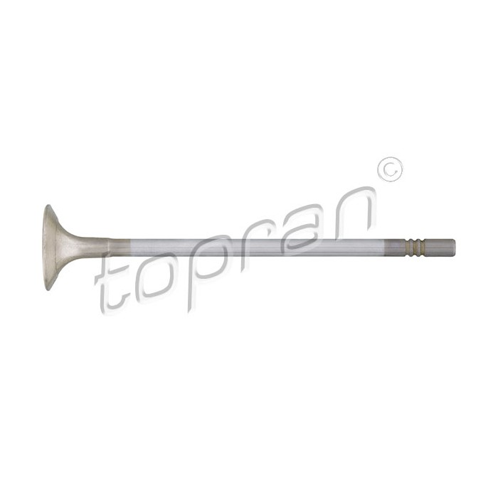 Soupape d'échappement Pour VW Beetle Caddy IV Golf Audi Seat Skoda 04E109611K