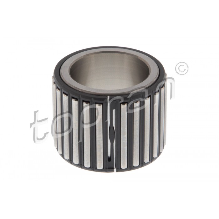 Cage à Aiguille Roulement de Boite Pour VW Audi Seat Altea Skoda 02T311132A