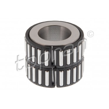 Cage à Aiguille Roulement de Boite Pour VW Audi Seat Altea Skoda 02U311132A