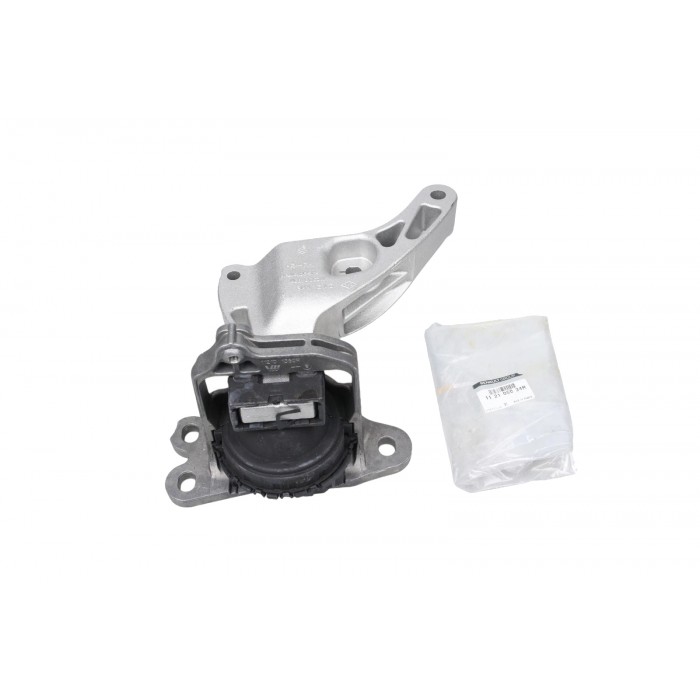Support Moteur Droit Pour Renault Trafic III