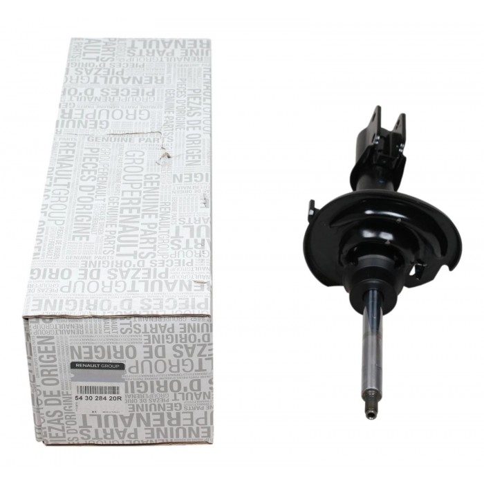 Amortisseur Avant Pour Renault Clio II III IV Modus