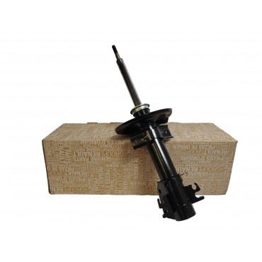 Amortisseur Avant Pour Renault Master III Opel Movano B Nissan NV400 5430300Q0D