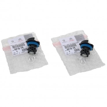 Douille Ampoule HP24W Pour Peugeot 3008 5008 Citroën C5 C6