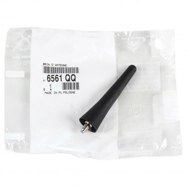 Antenne 72mm Pour Citroën C5