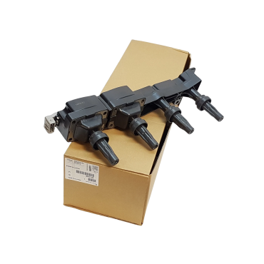 Bobine d'Allumage Pour Peugeot 206 207 307 308 1007 Partner Citroën Berlingo C2