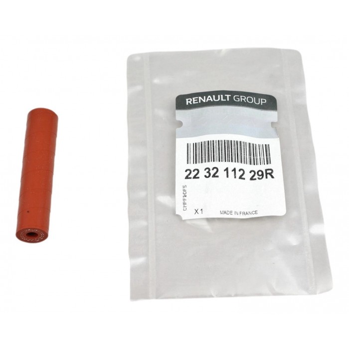 Tuyau Capteur de Pression Pour Renault Captur Clio II III IV Dacia Nissan