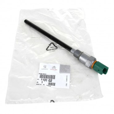 Capteur Sonde Niveau d'Huile Pour Peugeot 207 301 308 II 3008 5008 Partner RCZ