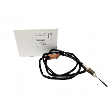 Capteur Température des Gaz Pour Peugeot 307 308 406 407 508 607 Citroën C4 C5