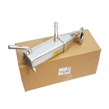 Radiateur de Vanne EGR Pour Peugeot Ford Tourneo Transit Citroën 9800570780