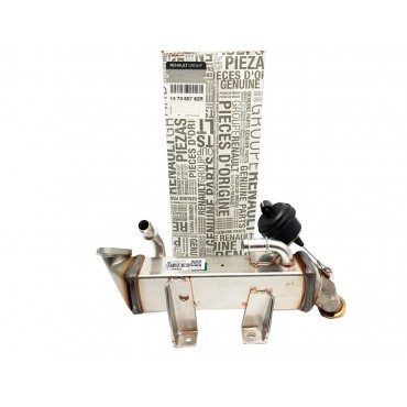 Radiateur de Vanne EGR Pour Renault Espace IV Laguna III 147350782R, 8200910446