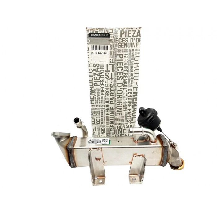 Radiateur de Vanne EGR Pour Renault Espace IV Laguna III 147350782R, 8200910446