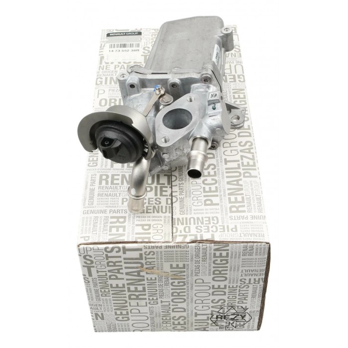 Radiateur de Vanne EGR Pour Renault Master III Nissan NV400