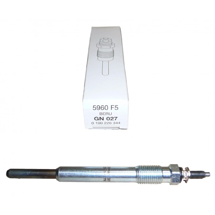 Bougie de Préchauffage Pour Peugeot 206 306 307 406 607 Fiat Suzuki Citroën