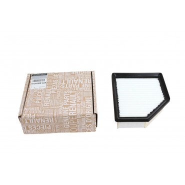 Filtre à air Pour Renault Nissan Mitsubishi 165466RA0A 165466RA0A, 165466RC1A