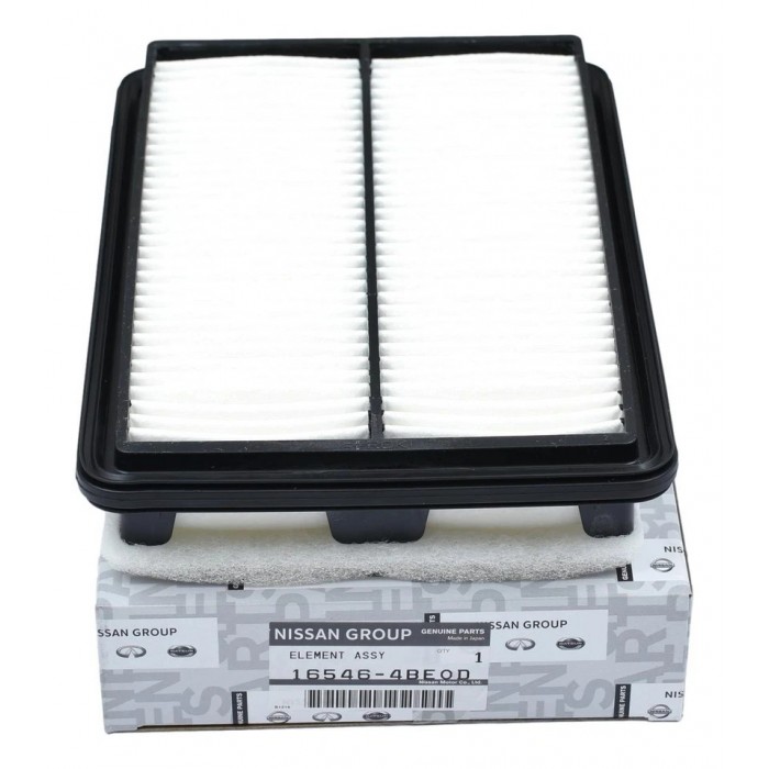 Filtre à air Pour Renault Koleos 165464BE0D