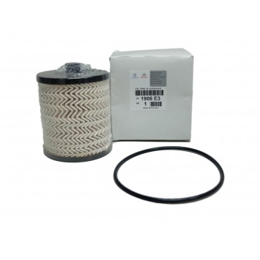 Filtre à Carburant Pour Peugeot 407 Citroën C5 C6