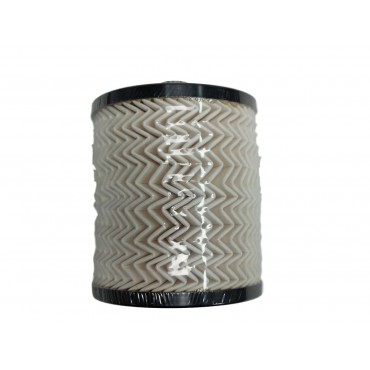 Filtre à Carburant Pour Peugeot 407 Citroën C5 C6