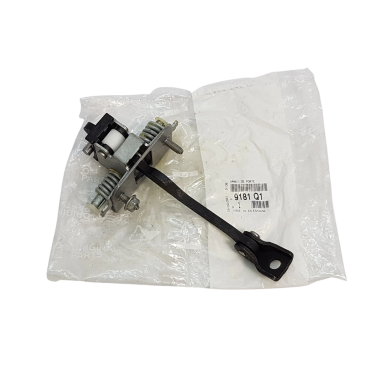 Charnière de Porte Arrière Pour Peugeot 3008 5008 II Citroën DS5