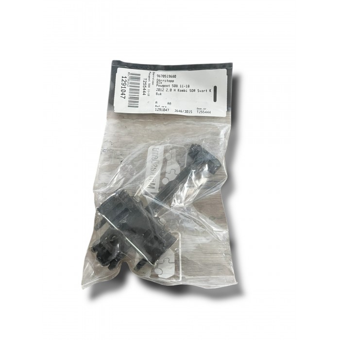 Charnière de Porte Arrière Pour Peugeot 508 9670519680