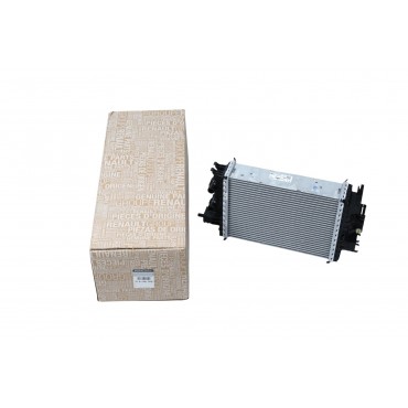 Radiateur de Moteur Pour Renault Captur Clio V 214109135R