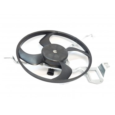 Ventilateur de Radiateur Pour Peugeot 207 208 Citroën C-Elysee C2 C3 C4 DS3 DS