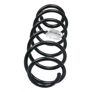 Ressort de Suspension Arrière Pour Renault Laguna III 550200003R, 550200002R