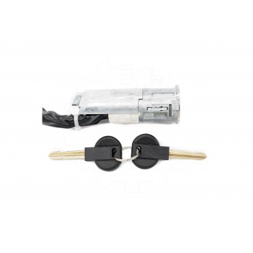 Contacteur Serrure d'Allumage Pour Peugeot Fiat Scudo Citroën Lancia 4162W4