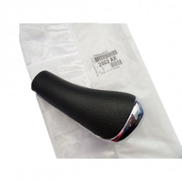 Pommeau Levier de Vitesse Pour Peugeot 3008 Citroën C4