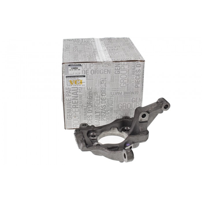 Fusée d'Essieu Avant Droit Pour Renault Trafic III