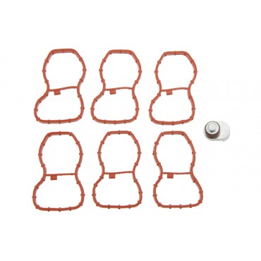 Joints De Collecteur...