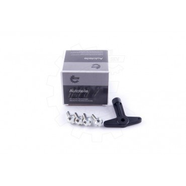 4 Boulons + Clé Antivol Pour Renault Clio II III Laguna Megane I Modus Scénic