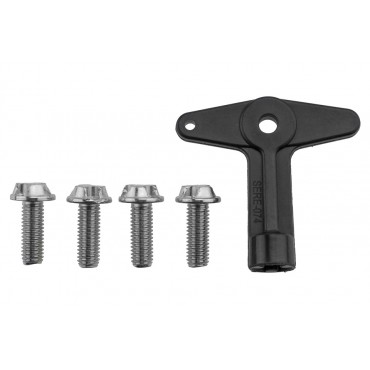 4 Boulons + Clé Antivol Pour Renault Clio II III Laguna Megane I Modus Scénic