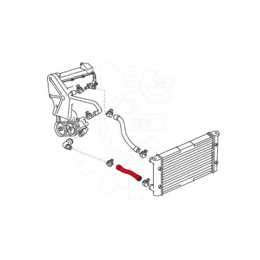 Tuyau de Refroidissement Pour Peugeot VW Seat BMW 1H0121051A 11531262751