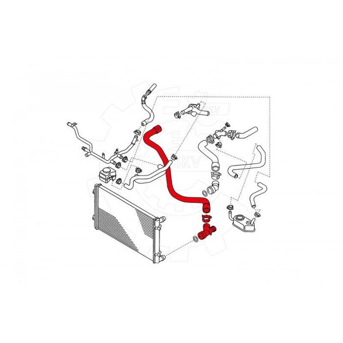 Tuyau de Refroidissement Pour VW Bora Audi Seat Skoda 1J0122051H 1J0122051A