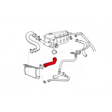 Tuyau de Refroidissement Pour BMW Série 3 E36 Z3 11531727448 11531743192