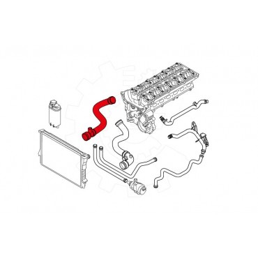 Tuyau de Refroidissement Pour BMW Série 5 E39 11531705224 1705224