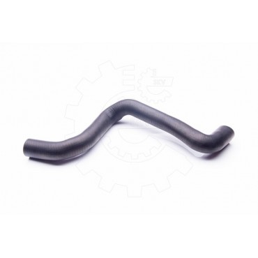 Tuyau de Refroidissement Pour Ford C-Max Focus II 1321512 1384143 1520851