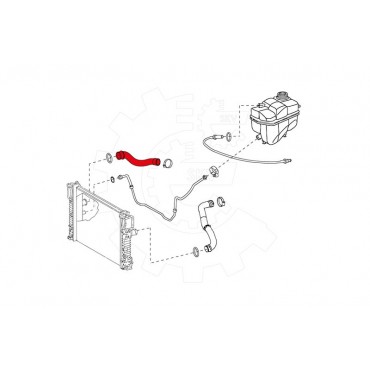 Tuyau de Refroidissement Pour Mercedes-Benz Classe E T-Model 2115010482