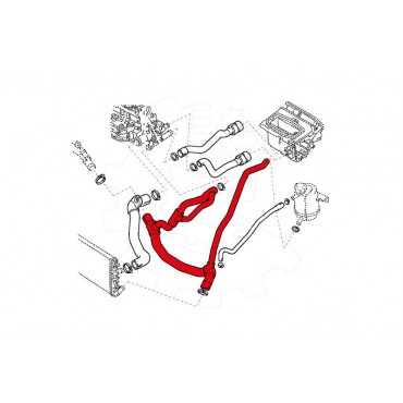 Tuyau de Refroidissement Pour Renault Clio II Kangoo 7700414122 7700834895