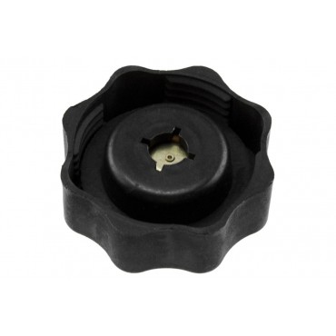 Bouchon Vase D'expansion...