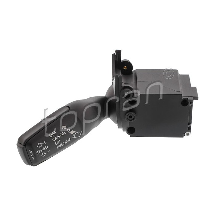 Commodo Régulateur de Vitesse Pour Audi A4 A6 Q7 Seat Exeo